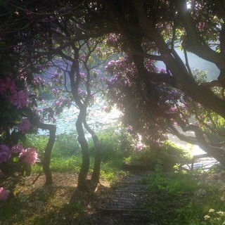 Telegram profile photo for ๐ฎ๐ฝ๐พ๐๐๐ป๐