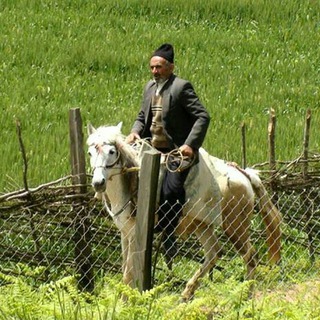 Telegram profile photo for ● هزارجریب نکا ●