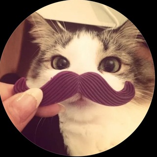 Telegram profile photo for CH TESTI NIKI