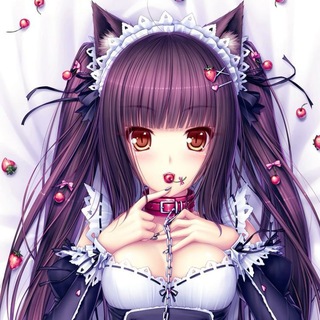 Telegram profile photo for костчк.com
