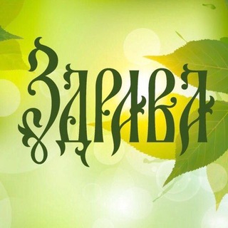 Telegram profile photo for ЗДРАВА ЙОГА ТАНЦЫ ФИТНЕС ГЕЛЕНДЖИК🌿