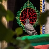 Telegram profile photo for أَمَن المُتَوَكَلُون