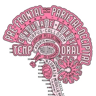 Telegram profile photo for NeuroScience