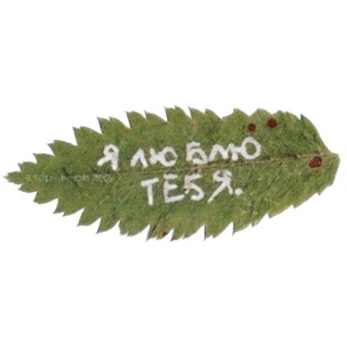 Telegram profile photo for реклама лю тебя, мир .ᐟ ✶ˎˊ˗