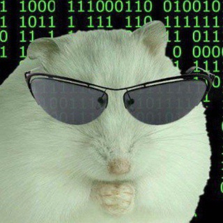 Telegram profile photo for ПХКД