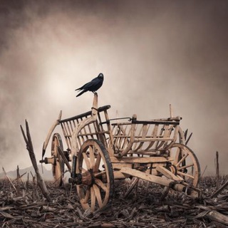 Telegram profile photo for Телега страховщика