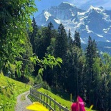 Telegram profile photo for صور طبيعة جميلة