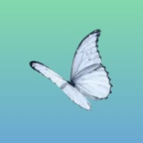 Telegram profile photo for 𝑵.