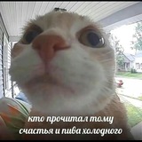 Telegram profile photo for архив твистеров