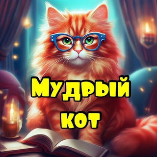 Telegram profile photo for Мудрый кот