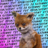 Telegram profile photo for Под Со'Ля-Минор’м