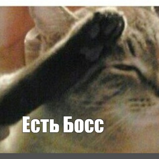 Telegram profile photo for Говорит и показывает