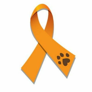 Telegram profile photo for زمین را برای حیوانات هم بخواهیم🐾
