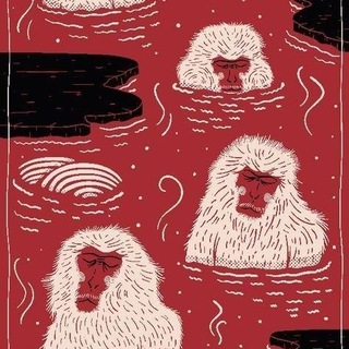 Telegram profile photo for Monkeys & rich