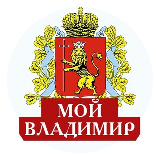 Telegram profile photo for Мой Владимир