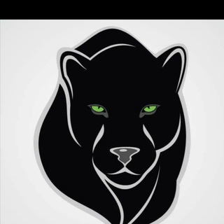 Telegram profile photo for Тула Глазами животного