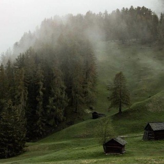 Telegram profile photo for Анкетница и роли участников.