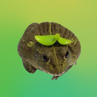 Telegram profile photo for Andrew Flowers