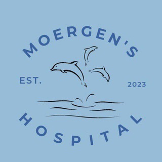 Telegram profile photo for GALERY MOERGEN'S
