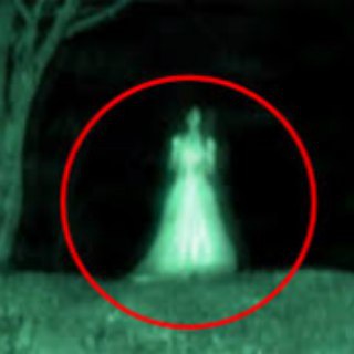 Telegram profile photo for Paranormal Black