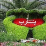 Telegram profile photo for قنوات علي وعائشة