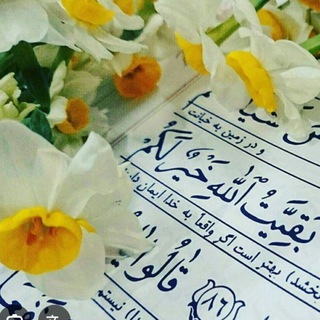 Telegram profile photo for ارشیوگروه