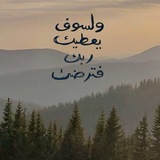 Telegram profile photo for "