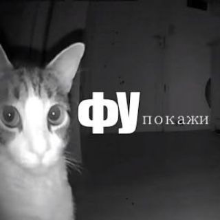 Telegram profile photo for Жизнь клана BUM..