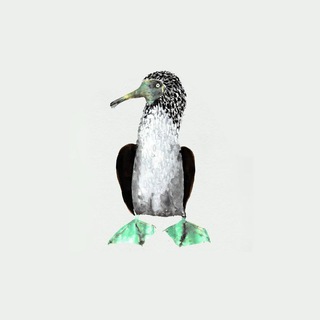 Telegram profile photo for Чья берлога?