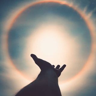 Telegram profile photo for Thusian Review & Apocalypse Herald
