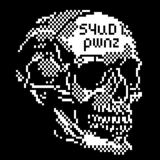 Telegram profile photo for S4uD1Pwnz