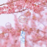 Telegram profile photo for 宇丸店铺