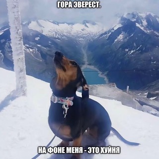 Telegram profile photo for Orenburg Top List