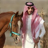 Telegram profile photo for الاسباني