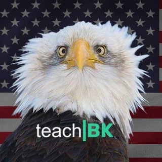 Telegram group profile photo for Америка / Американутая адаптация🇺🇸