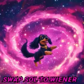 Telegram profile photo for Wiener Doge (Q&A) 🥳🤣