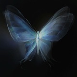 Telegram profile photo for ๐๐๐ฎ๐ป๐ฒ๐๐ฐ๐ฒ๐ป๐. FREE UNSUBS