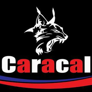 Telegram profile photo for CaracalTuning