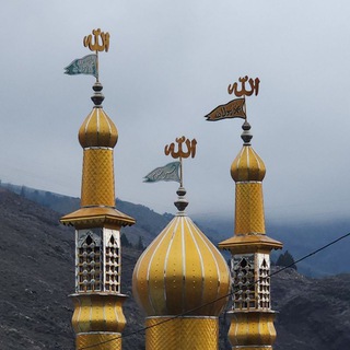 Telegram profile photo for روستای دولت آباد