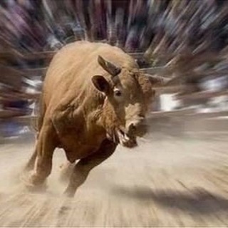 Telegram profile photo for 젊은황소: 비상모드ON