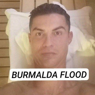 Telegram profile photo for Burmalda info