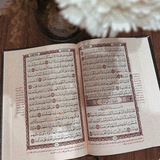 Telegram profile photo for بيش الدولار اليوم