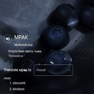 Telegram profile photo for › › ʙɜ ᴨиᴀᴩ чᴀᴛ ⺌ ᶠʳ ᴱᵈʷᶦᶰ