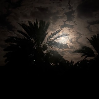 Telegram profile photo for الصَّبابةُ