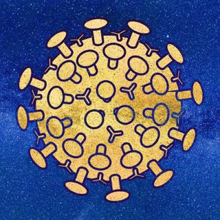 Telegram profile photo for COVID-19 Chat