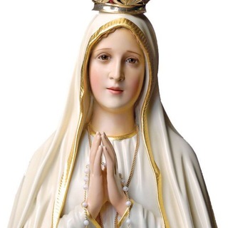 Telegram profile photo for TV Nossa Senhora de Fátima