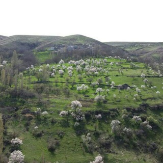 Telegram profile photo for کانال اطلاع رسانی روستای ماوی