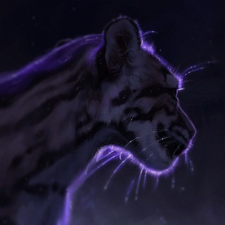 Telegram profile photo for 𝑆𝑡𝑢𝑑𝑖𝑜'𝑠 𝑊𝐶
