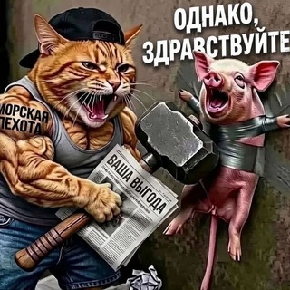 Telegram profile photo for "Бановский корреспондент".