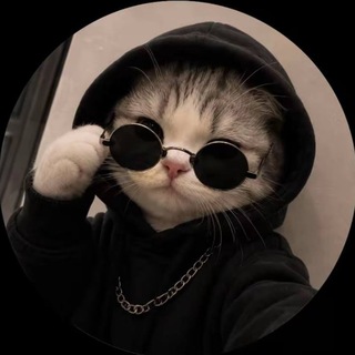 Telegram profile photo for Quantum Deals | Новости